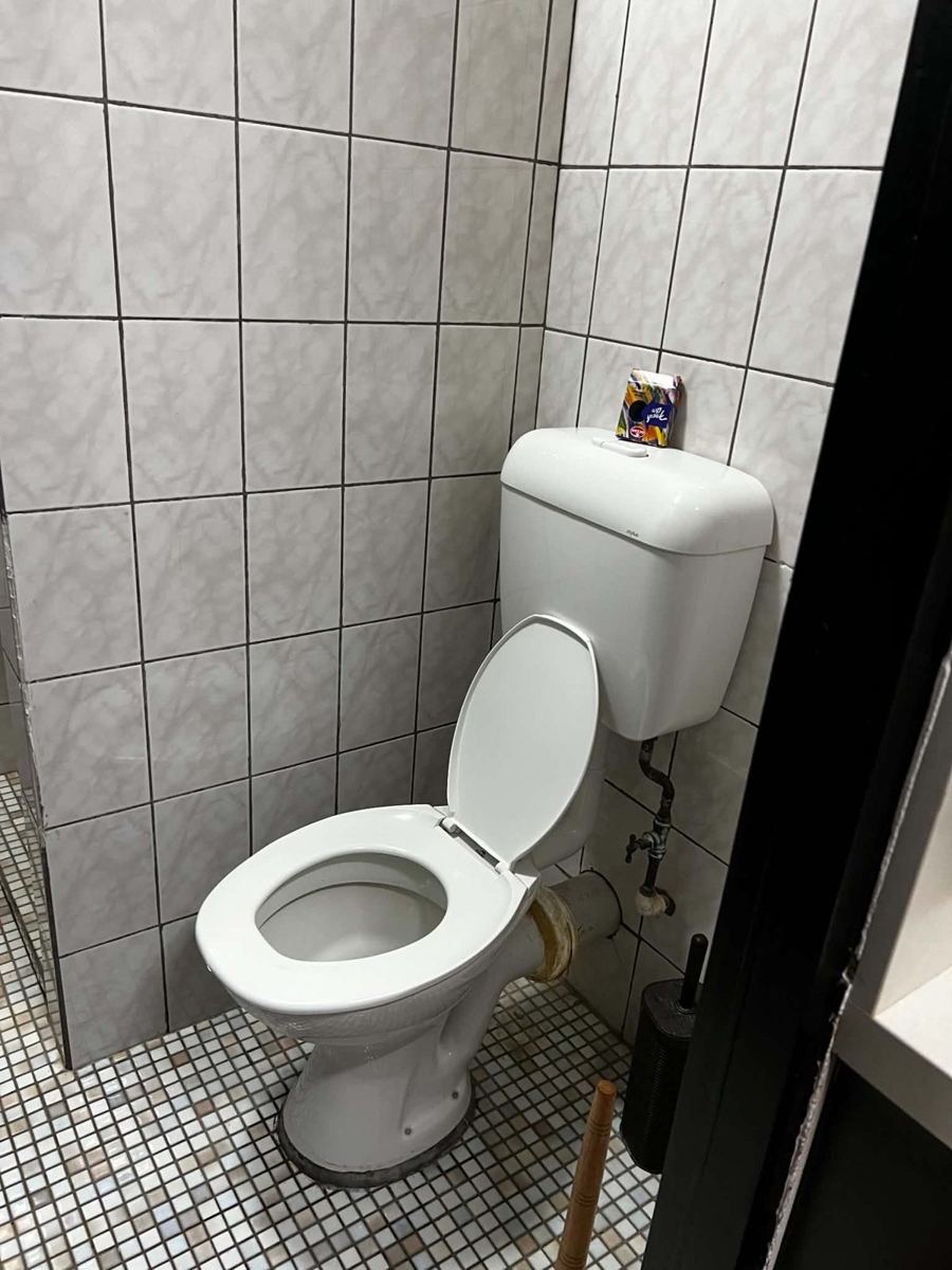 Toilet — before