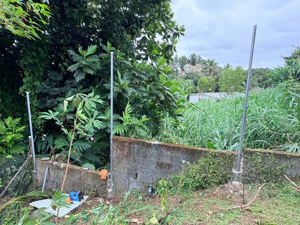 Galvanised posts set into the existing wall