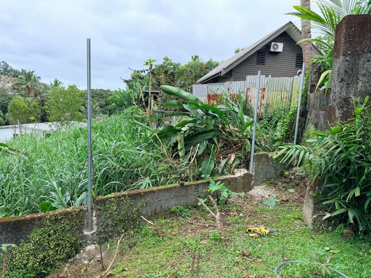 Posts in place along the boundary