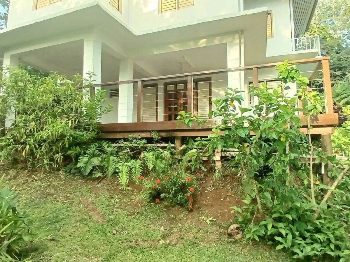 The rebuilt deck from the garden