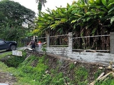 Boundary wall fence and motorised gate