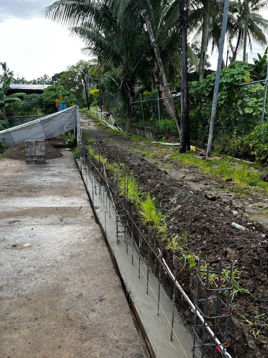 Strip footing poured, starter bars set